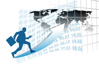 华体会登陆-中国篮球职业联赛赛事运营管理优化研究，中国篮球竞赛体系