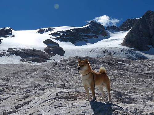 中国篮球职业联赛赛事风险管理机制,中国篮球竞赛制度改革