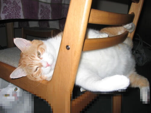 现场直击:赛场中的感人瞬间与球迷热情,足球赛场上的感人瞬间