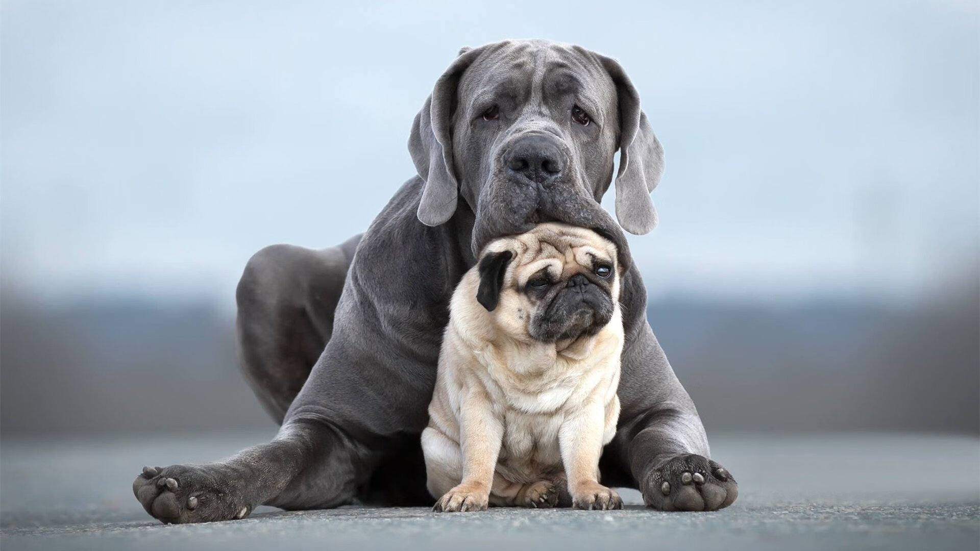篮球专项体能训练技术创新及应用,篮球运动专项体能训练的研究