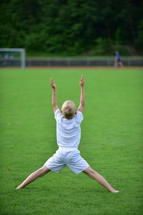 华体会登录-高校体育专业课程体系动态调整研究，全国普通高校体育教育专业课程方案