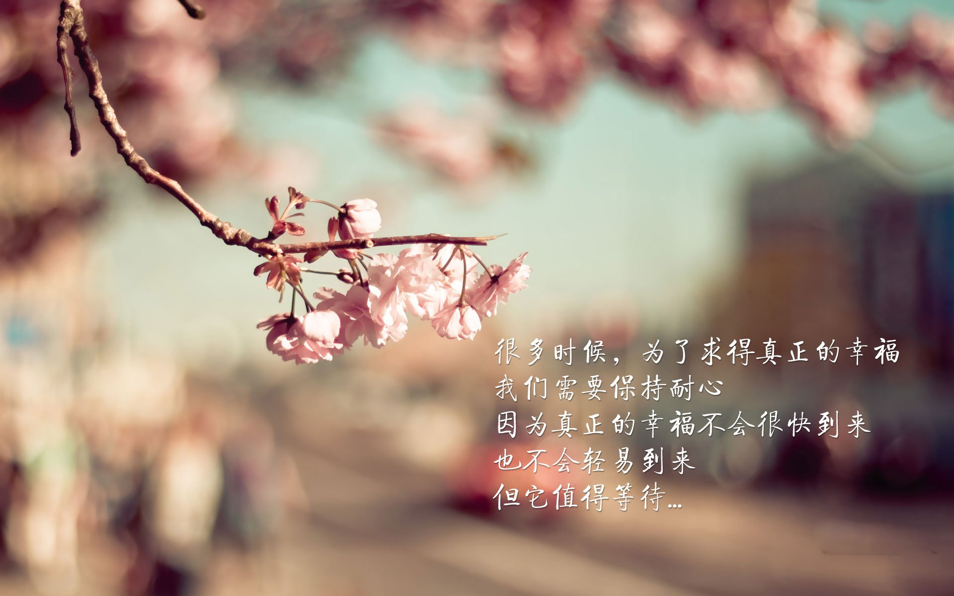 2024年印度队表现：勇于迎战，逐步成长为世界级队伍，二零二一年印度