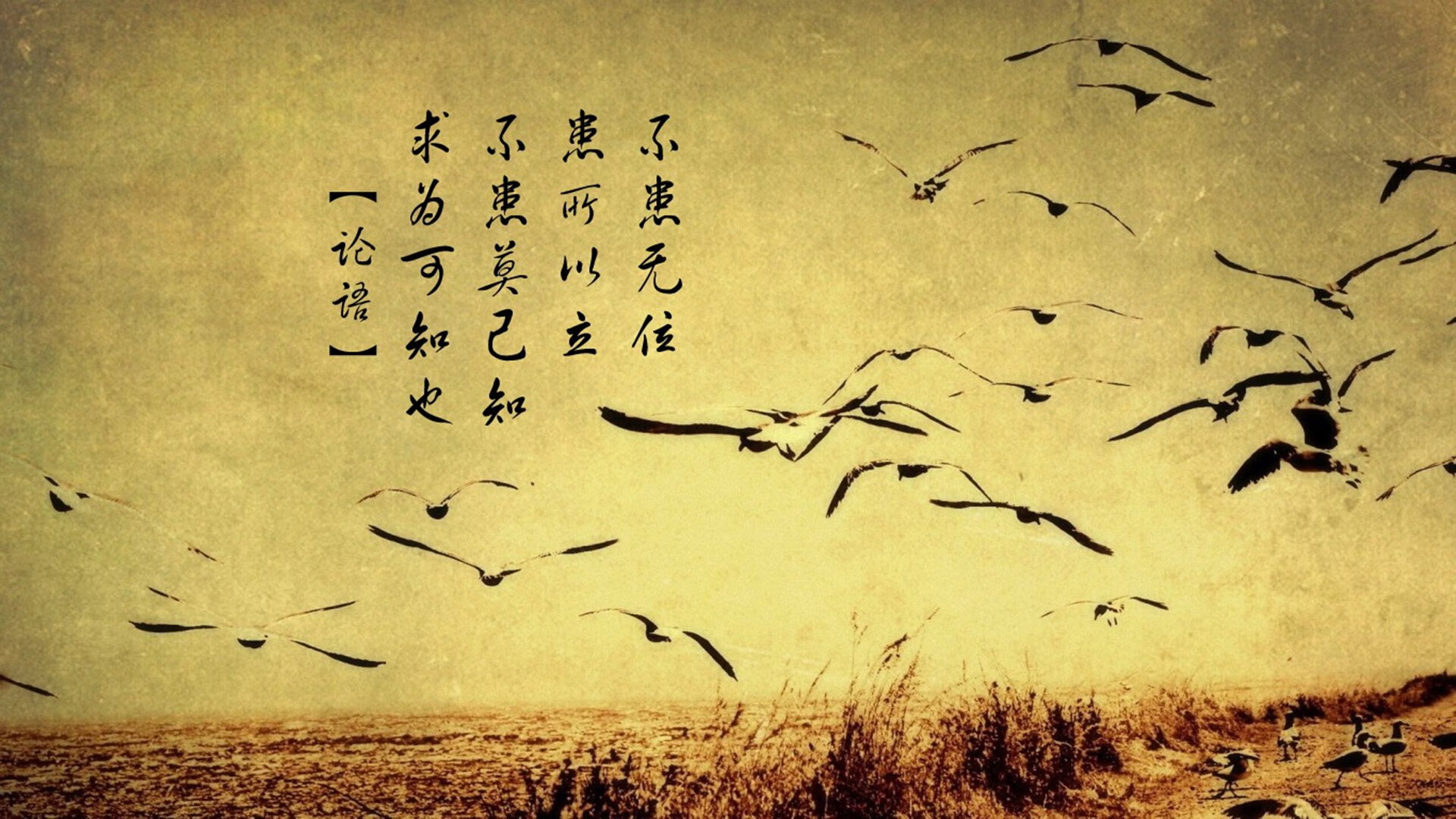 2024年印度队表现：勇于迎战，逐步成长为世界级队伍，二零二一年印度