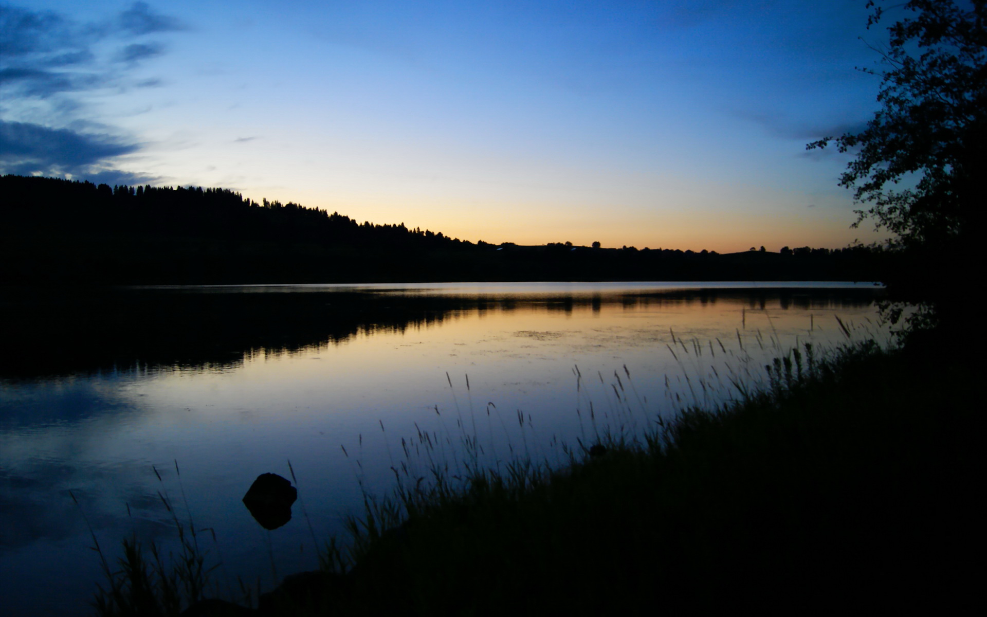 华体会娱乐平台-全新赛制提升赛事观赏性，选手需快速适应，最全观赛指南