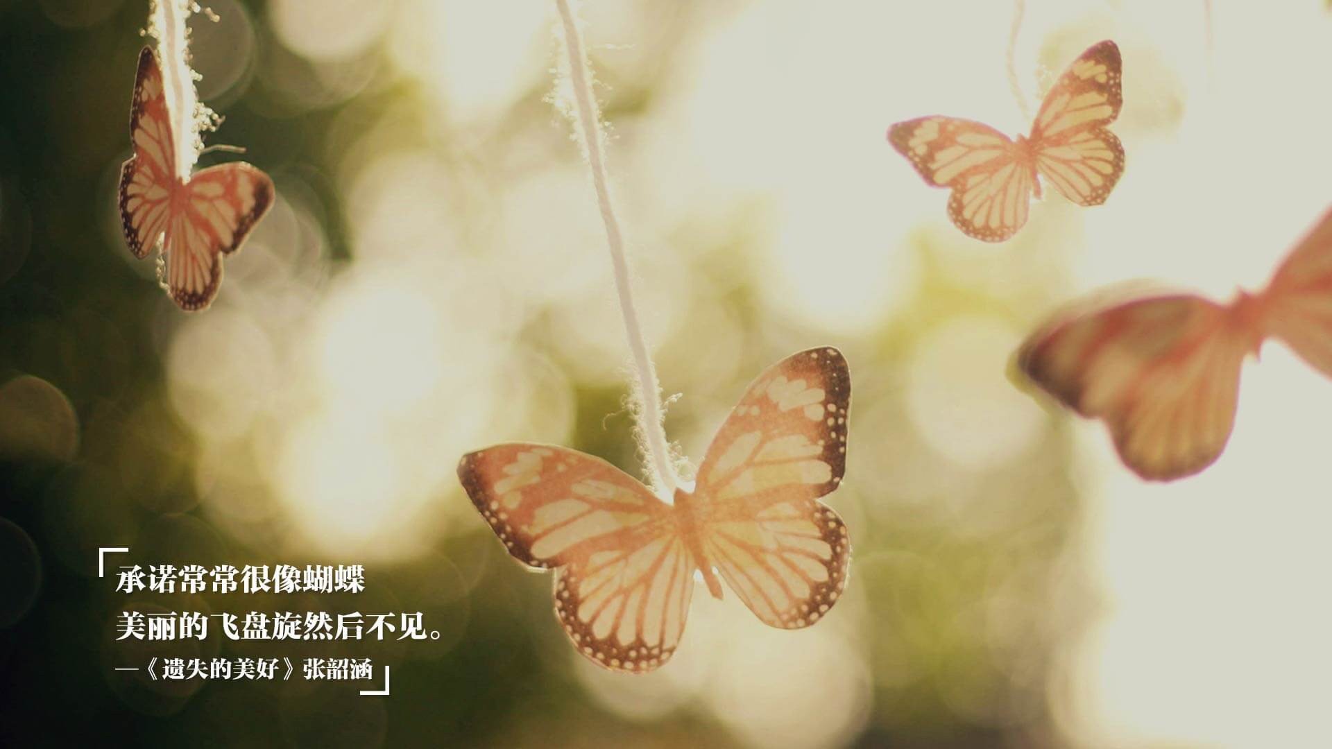 校园体育美育融合实践案例在全国推广,校园体育美育融合实践案例在全国推广的意义