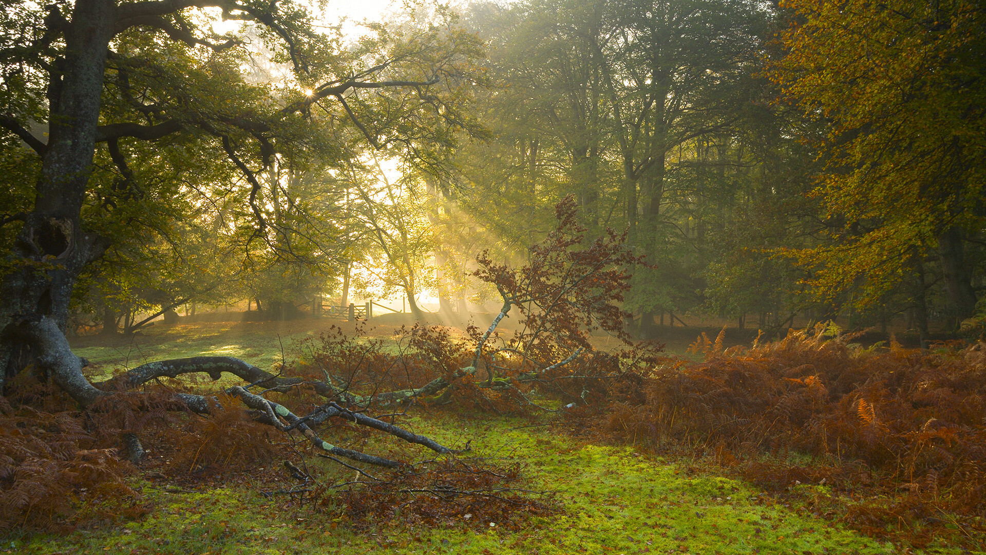 联盟中节奏最佳的后场搭档盘点,联盟最强得分后卫