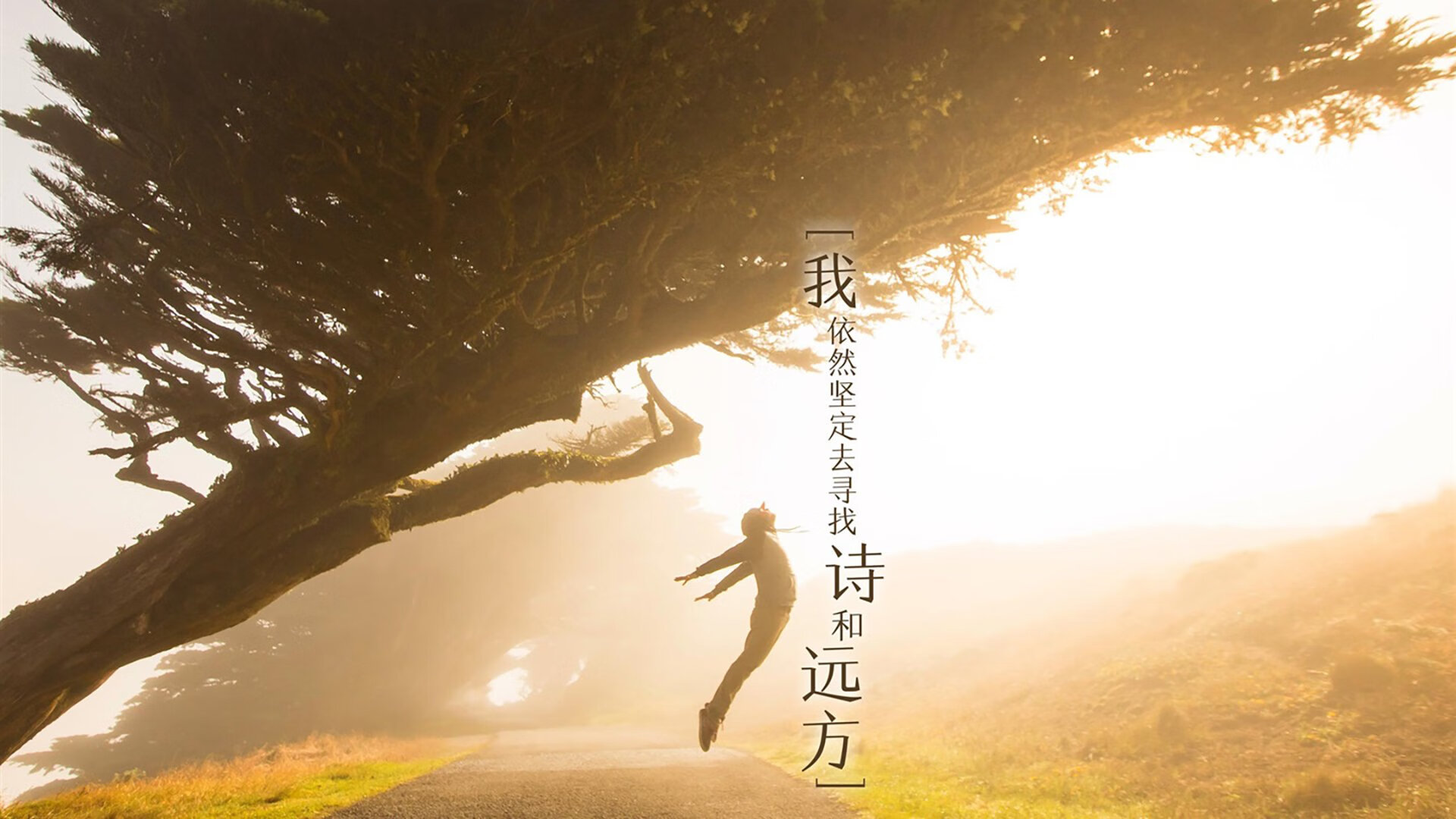 CBA联赛完善裁判判罚标准保障比赛公正性,cba使用的篮球裁判规则