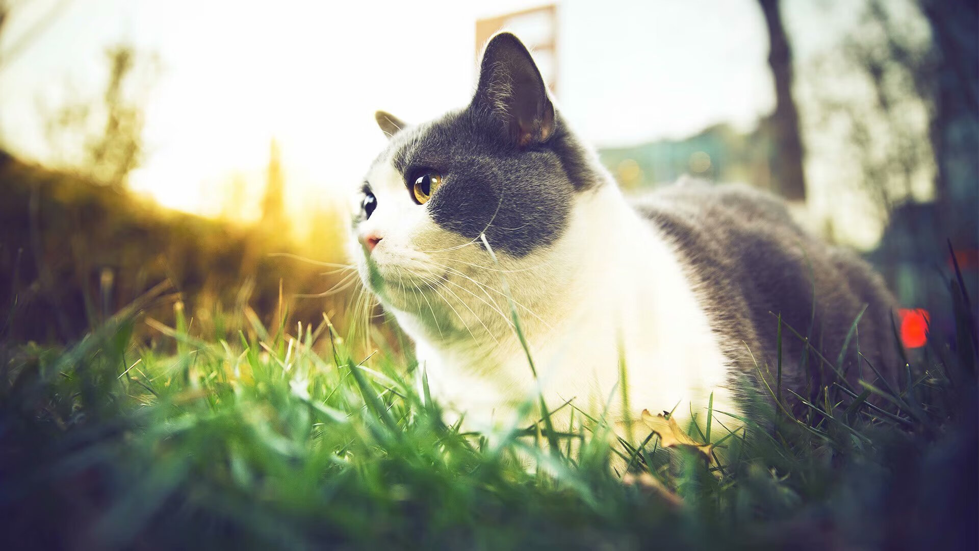 乌拉圭队整装待发,备战未来国际大赛