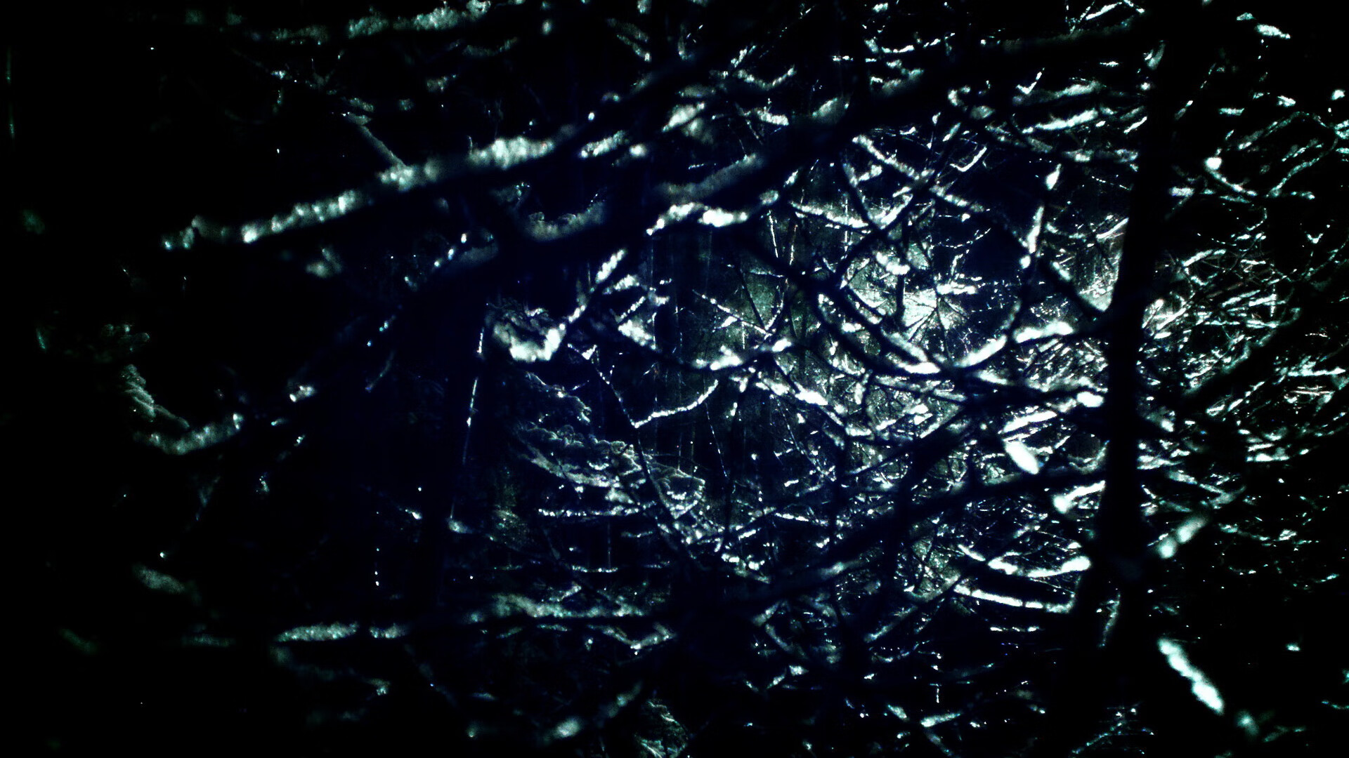 华体会在线-决赛关键点：切拉苏奥洛起跳完美，切拉瓦洛