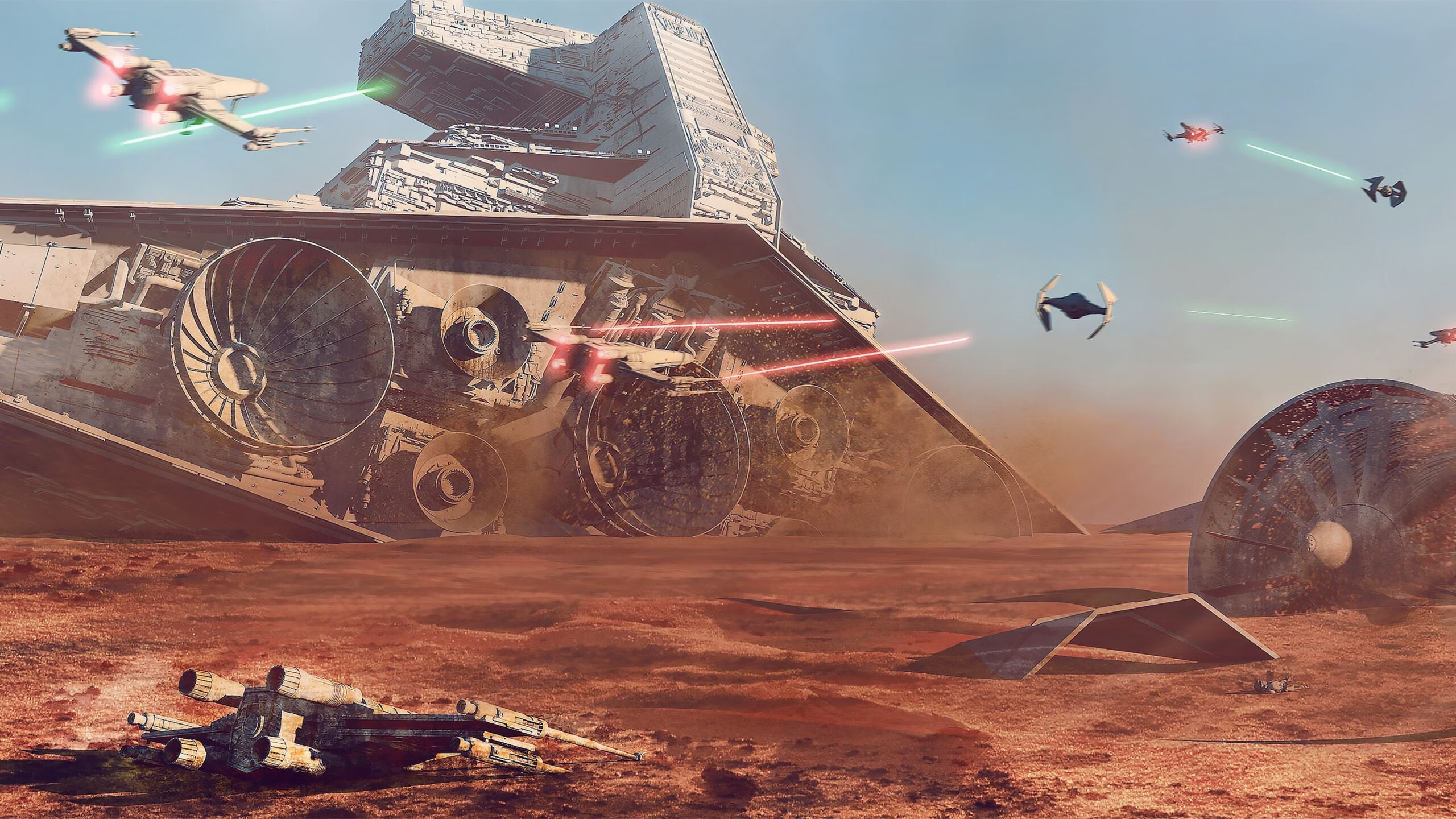 张伟丽新书发布记录格斗成长之路,张伟丽格斗图片