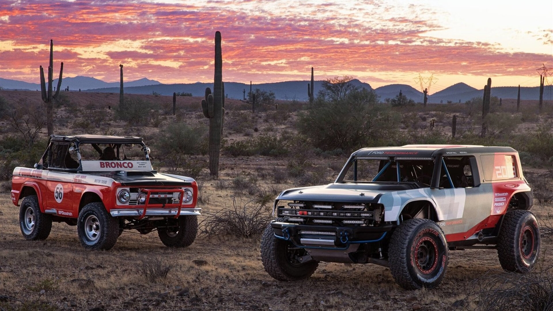新西兰橄榄球赛事品牌在国际市场的影响力不断提升,新西兰橄榄球比赛