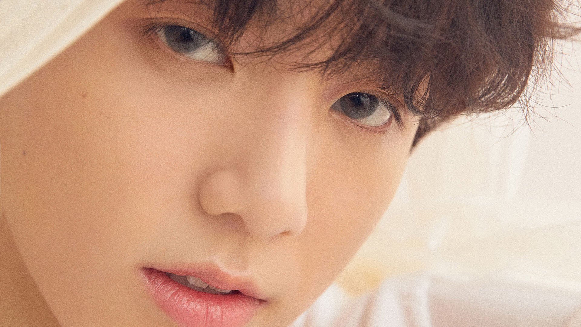 欧洲杯精彩再现：战术对决中的巅峰表现，欧洲杯各个球队技战术打法