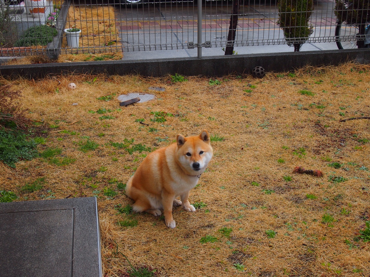 美洲杯明星齐聚：精彩表现鼓舞全场！，美洲杯著名球星