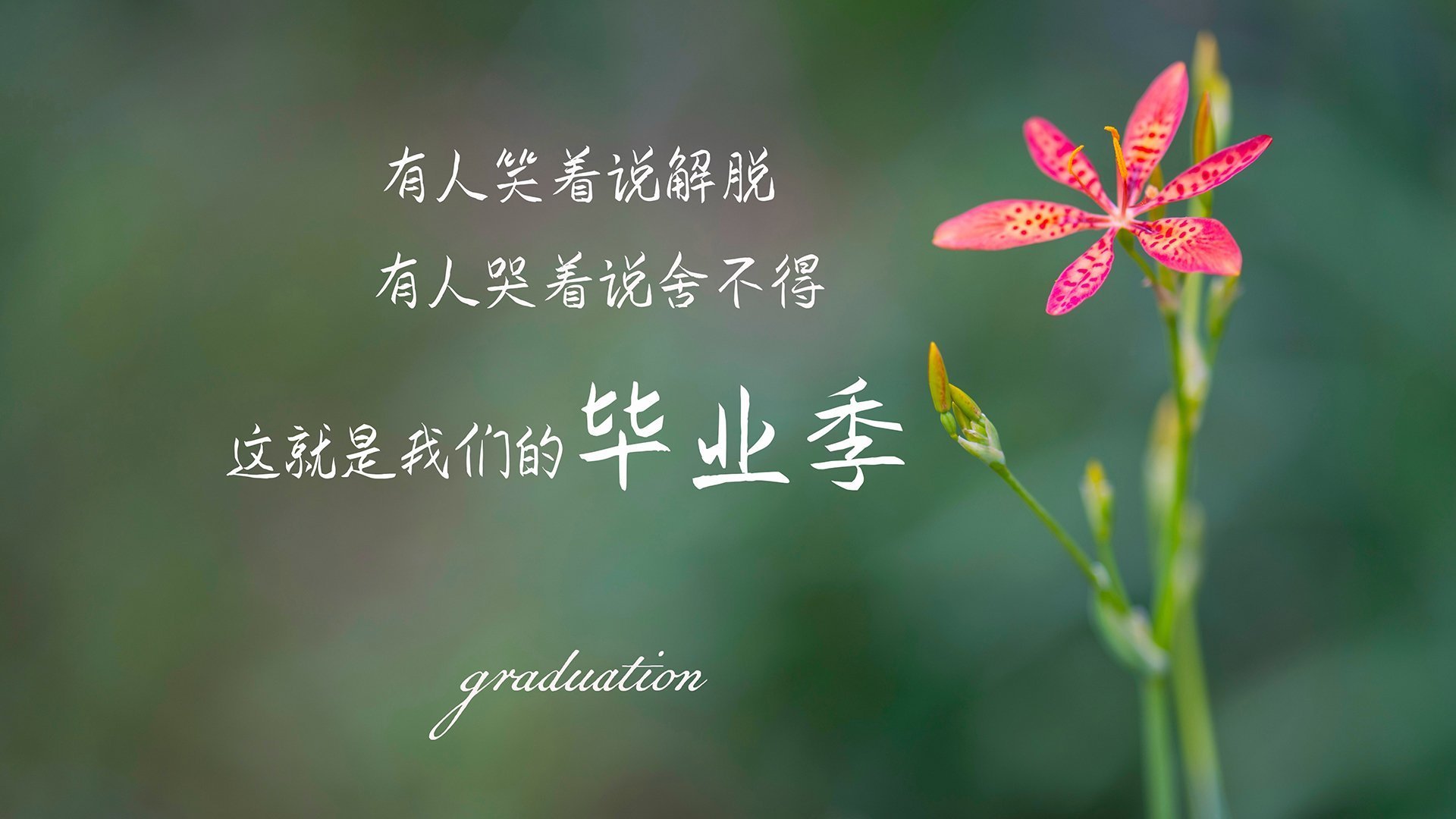 莫桑比克男篮在非洲预赛中奋勇冲击,期待突破