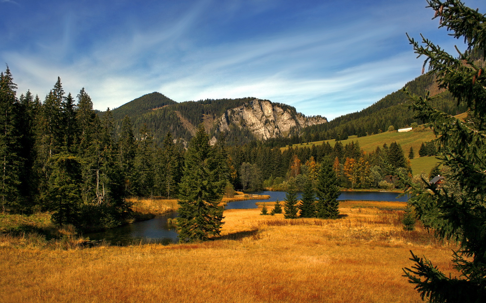 覃海洋男子200米蛙泳决赛表现亮眼，200米混合泳覃海洋