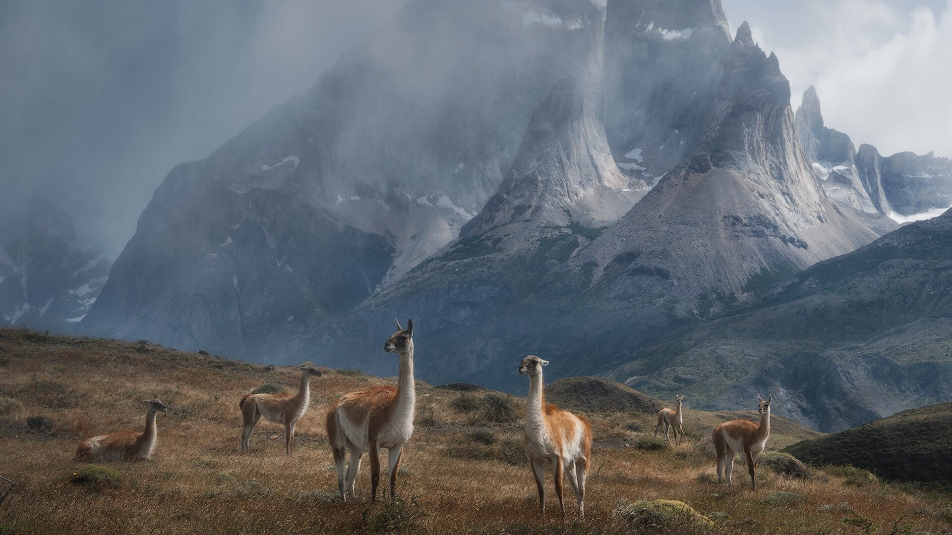 青年世界杯预选赛中，澳大利亚、加拿大等队表现亮眼，挺进决赛圈