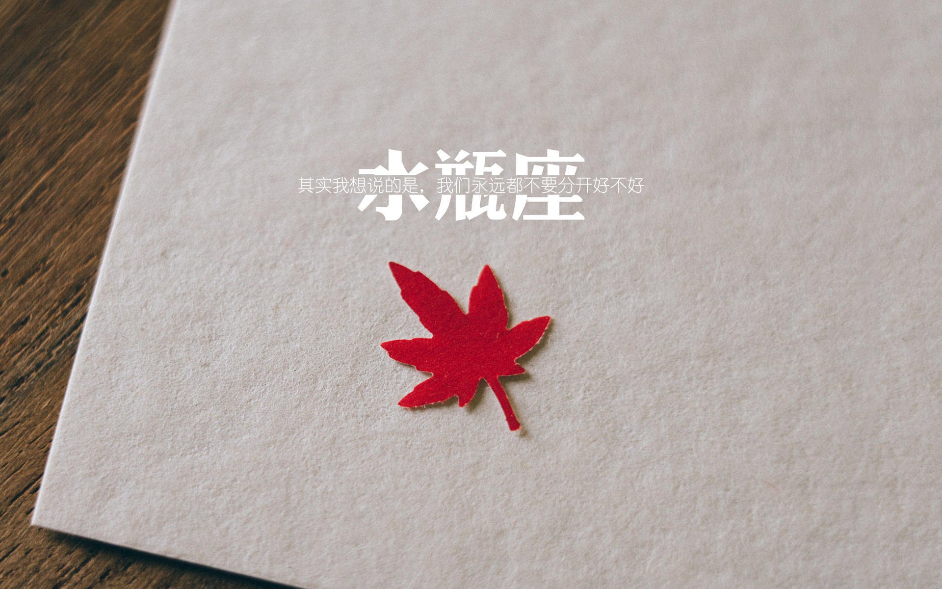 中国男排世锦赛名单评测：经验与新血的完美结合，中国男排世联赛