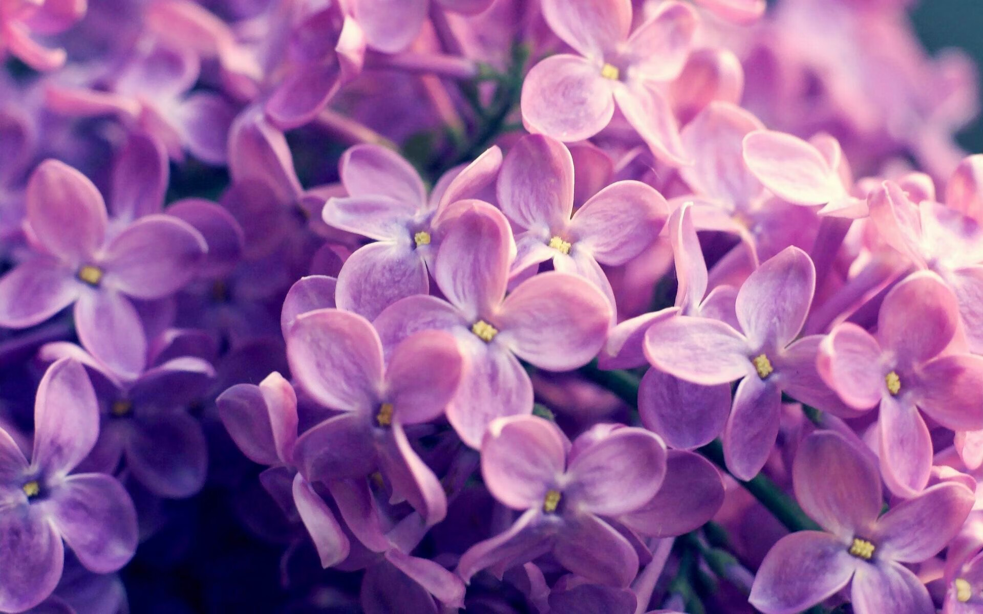 中国篮球如何优化教练人才的等级认定制度，篮球教练员等级考试