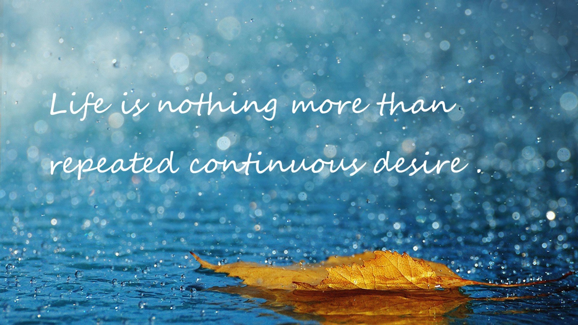 华体会平台下载-五大联赛常规训练数据进入评估体系，五大联赛标准