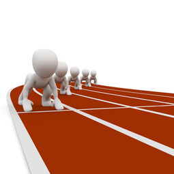 华体会平台娱乐-体育新闻中心记录高水平训练基地建设成果，推动体育事业新发展