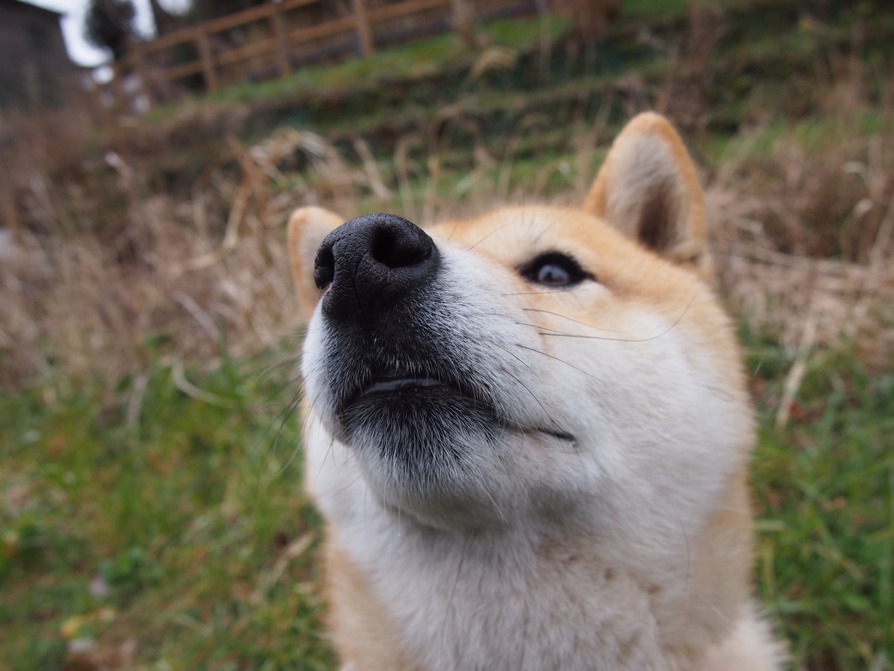 华体会登录地址-冯珊珊减重70斤：科学减肥与轻松生活的结合，冯珊珊怎么减肥的